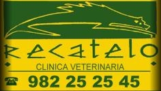clinica veterinaria recatelo